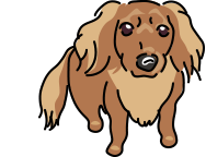 戸田市の税理士は税理士法人アレックスパートナーズ マスコット ちーたん