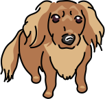 税理士法人アレックスパートナーズ/Mantingagement & Financial consulting/ ちーたん